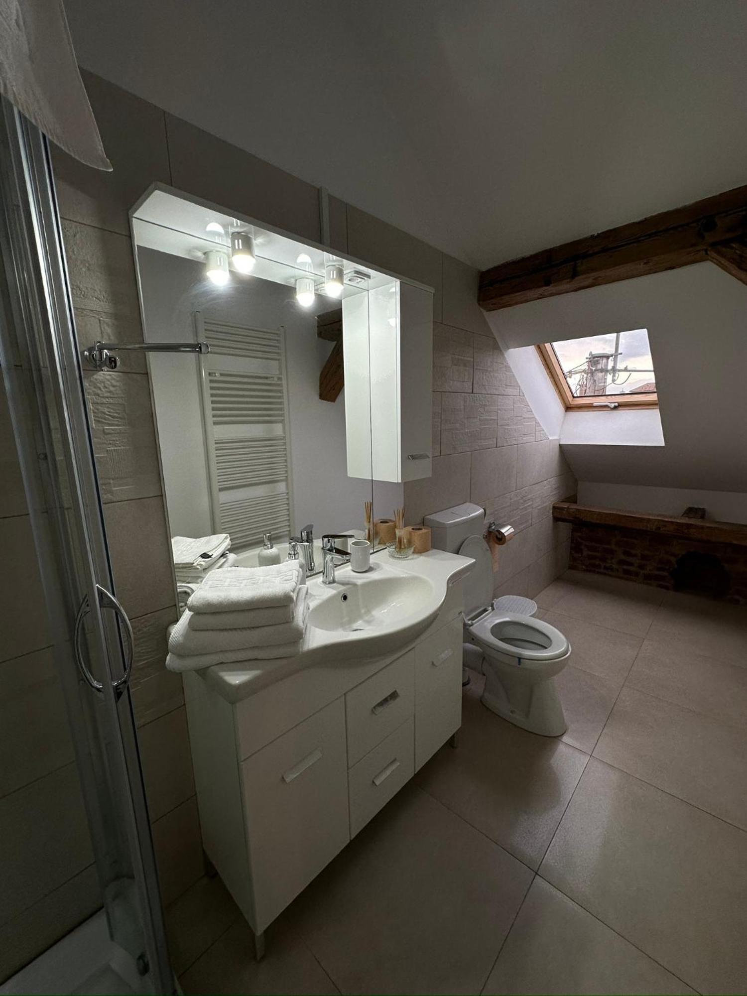 Antique Aparthotel Alba Iulia Zewnętrze zdjęcie